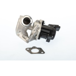 ERG vožtuvas
                                BorgWarner (Wahler)                                                710929D/1, B