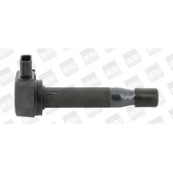 ritė, uždegimas
                                BorgWarner (BERU)                                                ZSE183, Bo