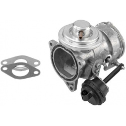 ERG vožtuvas
                                BorgWarner (Wahler)                                                7327D/1, Bor