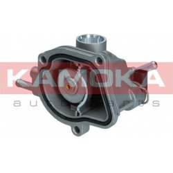 termostatas, aušinimo skystis
                                KAMOKA                                                7710167,