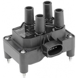 ritė, uždegimas
                                BorgWarner (BERU)                                                ZS350BO, B