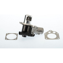 ERG vožtuvas
                                BorgWarner (Wahler)                                                710928D/1, B