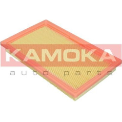 oro filtras
                                KAMOKA                                F253601, KAMOKA, F253601, auto detalė