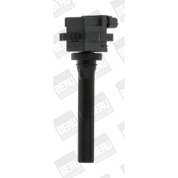 ritė, uždegimas
                                BorgWarner (BERU)                                                ZSE072, Bo