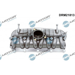 įsiurbimo kolektoriaus modulis
                                Dr.Motor Automotive                                          