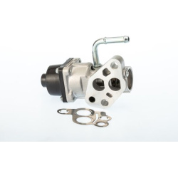 ERG vožtuvas
                                BorgWarner (Wahler)                                710935D/1, BorgWarner (Wahle
