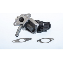 ERG vožtuvas
                                BorgWarner (Wahler)                                                710979R, Bor