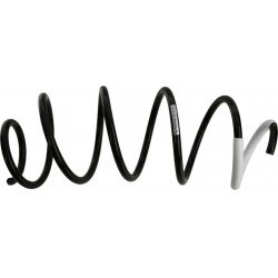 spyruoklė
SACHS 991 105, SACHS, 991105, auto