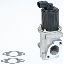 ERG vožtuvas
                                BorgWarner (Wahler)                                710772D/1, BorgWarner (Wahle