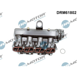įsiurbimo kolektoriaus modulis
                                Dr.Motor Automotive                                          