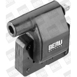ritė, uždegimas
                                BorgWarner (BERU)                                ZS282, BorgWarner (BERU), 