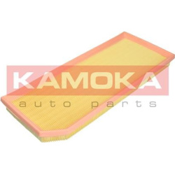 oro filtras
                                KAMOKA                                F249101, KAMOKA, F249101, auto detalė