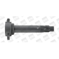 ritė, uždegimas
                                BorgWarner (BERU)                                                ZS562, Bor