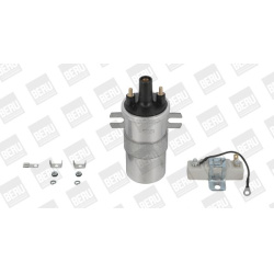 ritė, uždegimas
                                BorgWarner (BERU)                                                ZS567, Bor