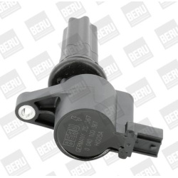 ritė, uždegimas
BorgWarner (BERU) ZS367, Bor