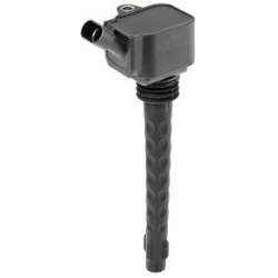 ritė, uždegimas
                                BorgWarner (BERU)                                                ZS573, Bor