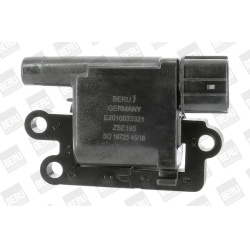 ritė, uždegimas
                                BorgWarner (BERU)                                                ZSE193, Bo