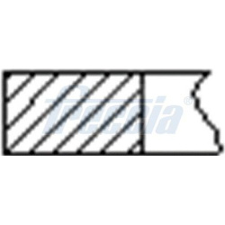 stūmoklio žiedų komplektas
                                FRECCIA                                                FR10-209