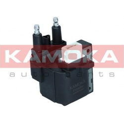 ritė, uždegimas
                                KAMOKA                                                7120024, KAMOKA, 7120