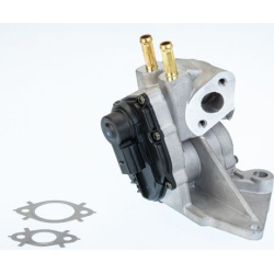 ERG vožtuvas
                                BorgWarner (Wahler)                                                710937D/1, B