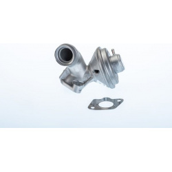 ERG vožtuvas
                                BorgWarner (Wahler)                                                710973R, Bor