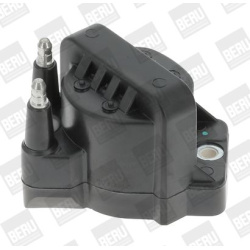 ritė, uždegimas
                                BorgWarner (BERU)                                                ZS355, Bor
