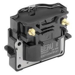 ritė, uždegimas
                                BorgWarner (BERU)                                                ZS559, Bor