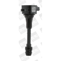 ritė, uždegimas
                                BorgWarner (BERU)                                                ZSE080, Bo