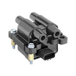 ritė, uždegimas
                                BorgWarner (BERU)                                                ZSE218, Bo