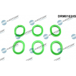 tarpiklių rinkinys, įsiurbimo kolektorius
                                Dr.Motor Automotive                              