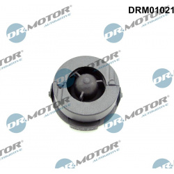 buferis, variklio dangtis
                                Dr.Motor Automotive                                                