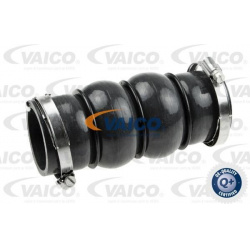 kompresoriaus padavimo žarna Original VAICO Quality
                                                V420579, Nenurodytas gam