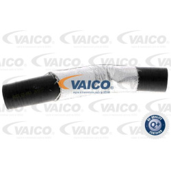 kompresoriaus padavimo žarna Original VAICO Quality
                                                V250950, Nenurodytas gam