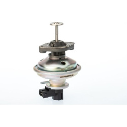 ERG vožtuvas
                                BorgWarner (Wahler)                                                710970D/1, B