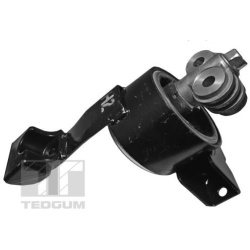 variklio montavimas
                                TEDGUM                                                00127938, TEDGUM, 0