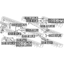 korekcinių išvirtimo varžtų rinkinys
                                FEBEST                                0829-002-KIT, 