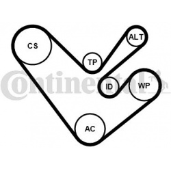 V formos rumbuotas diržas, komplektas
                                CONTITECH                                             