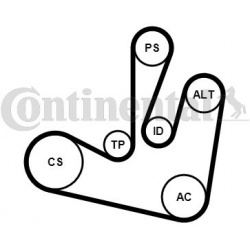 V formos rumbuotas diržas, komplektas
                                CONTITECH                                             
