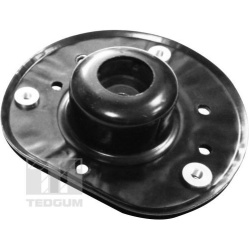 TEDGUM                                                00228456, TEDGUM, 00228456, auto detalė