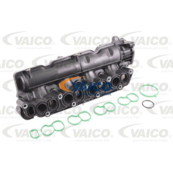 įsiurbimo kolektoriaus modulis Original VAICO Quality
                                                V401579, Nenurodytas g