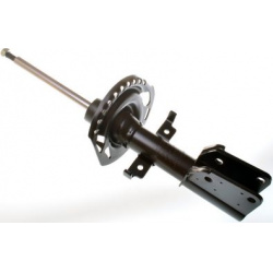 amortizatorius
                                DENCKERMANN                                DSB168G, Nenurodytas gamintojas, DS
