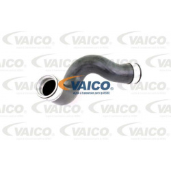 kompresoriaus padavimo žarna Original VAICO Quality
                                                V103815, Nenurodytas gam