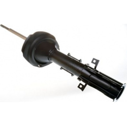 amortizatorius
                                DENCKERMANN                                                DSB169G, Nenurodyta