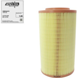 oro filtras
                                AUTOMEGA                                                180034410, Nenurodytas ga