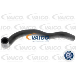 Aušinimo vamzdis, žarna
                                VAICO                                                V104653, Nenur