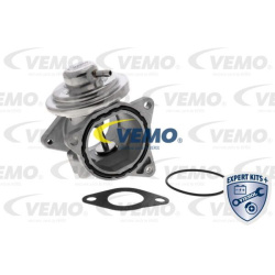 EGR vožtuvas, išmetamųjų dujų valdymas EXPERT KITS +
                                VEMO                               