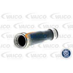 kompresoriaus padavimo žarna Q+, original equipment manufacturer quality
                                VAICO              