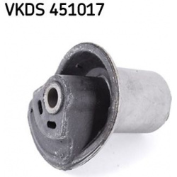 ašies korpusas
                                SKF                                VKDS 451017, SKF, VKDS451017, auto detalė