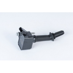 ritė, uždegimas
                                BorgWarner (BERU)                                ZSE237, BorgWarner (BERU),