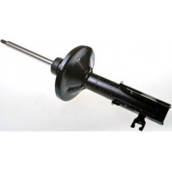 amortizatorius
                                DENCKERMANN                                                DSB042G, Nenurodyta